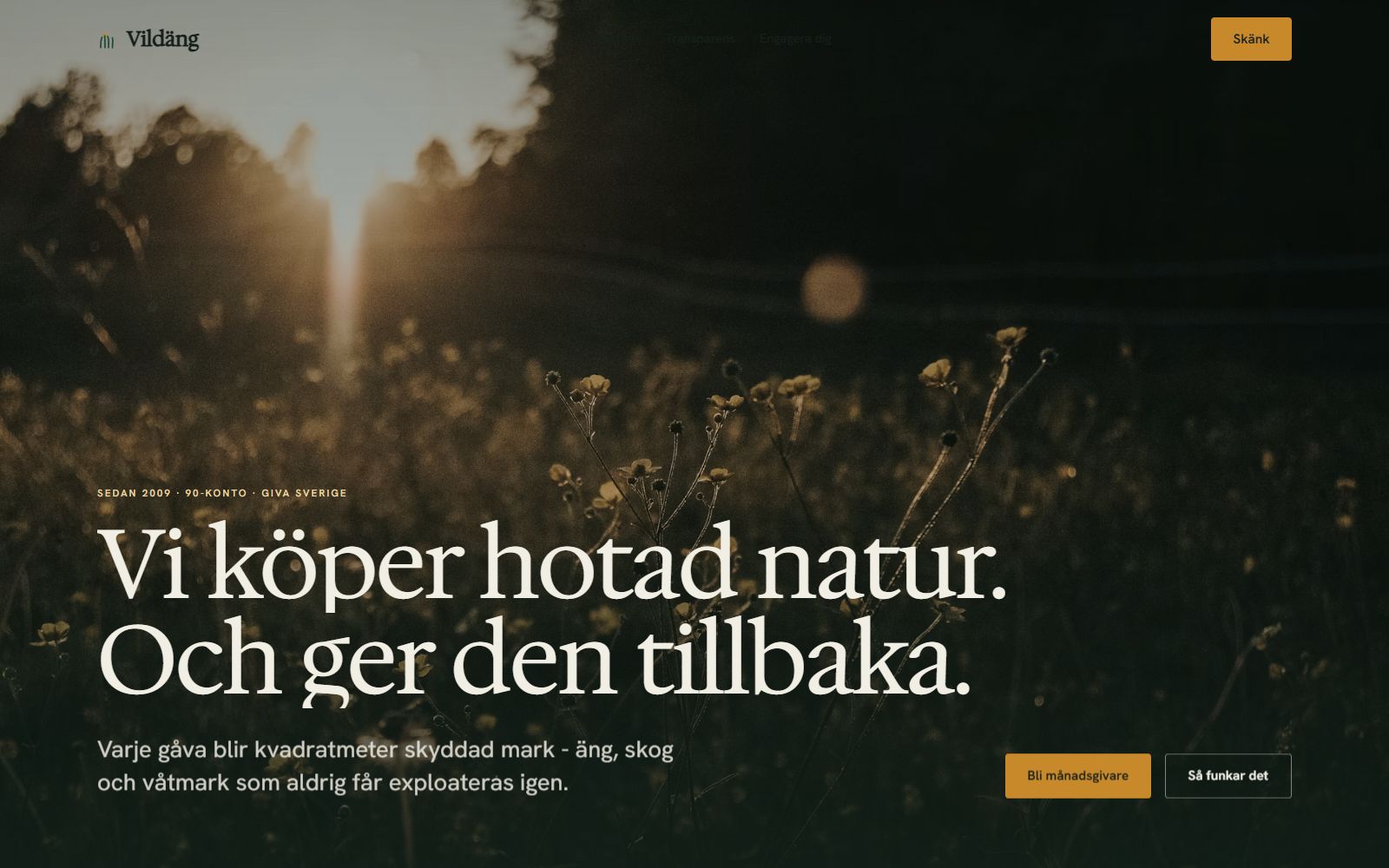 Hemsida-demo för Vildäng - Förening och non-profit